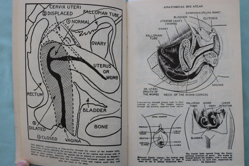 1950'S ANATOMICAL SEX ATLAS SOFTCOVER BOOK BY DAVID KELLER, M.D. - K 3427