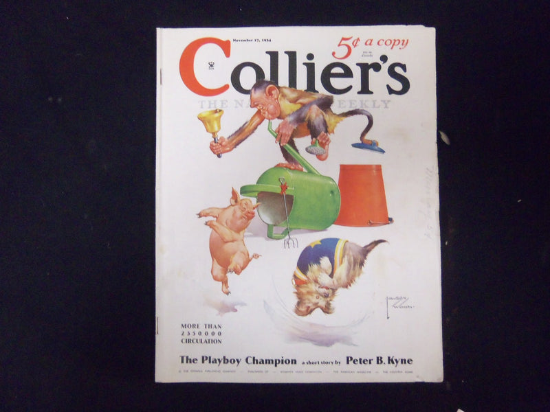 1934 NOV 17 COLLIER'S MAGAZINE - GREAT ILLUSTRATIONS, ARTICLES & ADS - ST 3617