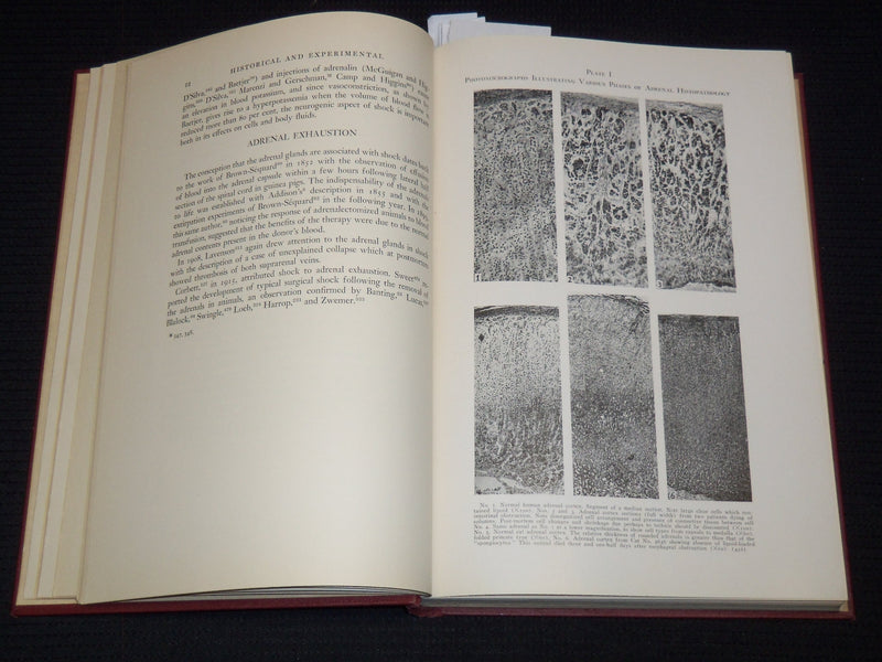 1940 SHOCK - BLOOD STUDIES BOOK INSCRIBED BY JOHN SCUDDER M. D. - KD 7842