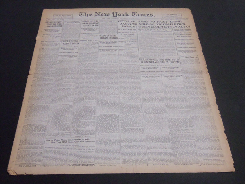1920 DECEMBER 18 NEW YORK TIMES - FIFTH AVE ARMS TO FIGHT CRIME - NT 6793