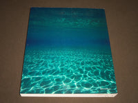 1988 ODYSSEY NATIONAL GEOGRAPHIC PHOTOGRAPHY SOFTCOVER BOOK - I 778