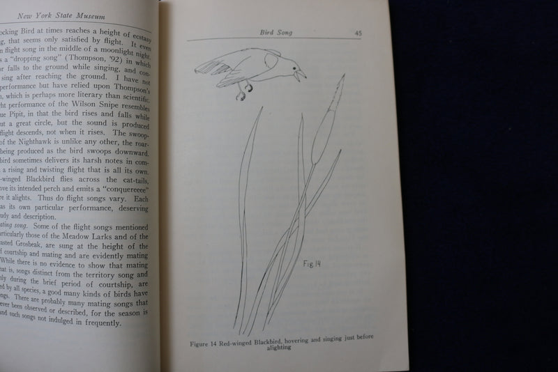 1929 BIRD SONG SOFTCOVER BOOK BY ARETAS A. SAUNDERS-NEW YORK STATE MUSEUM- K 876