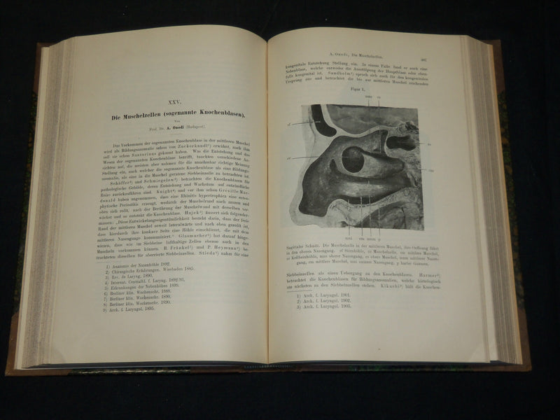 1894-1904 ARCHIV FUR LARYNGOLOGIE UND RHINOLOGIE GERMAN VOLUMES LOT OF 13 - KD 9