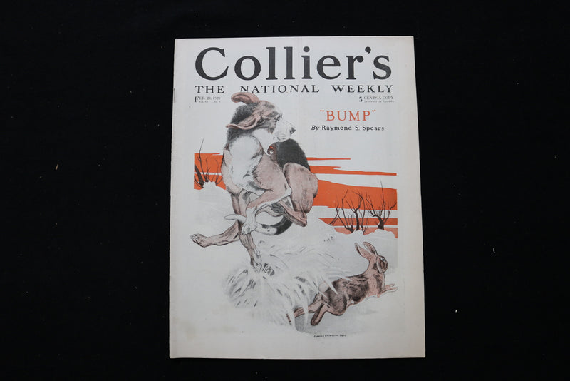 1920 FEBRUARY 28 COLLIER'S MAGAZINE - A DOG AND RABBIT COVER - E 10973