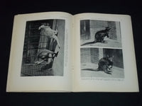 1931 JANUARY-FEBRUARY NEW YORK ZOOLOGICAL SOCIETY BULLETIN - J 5587