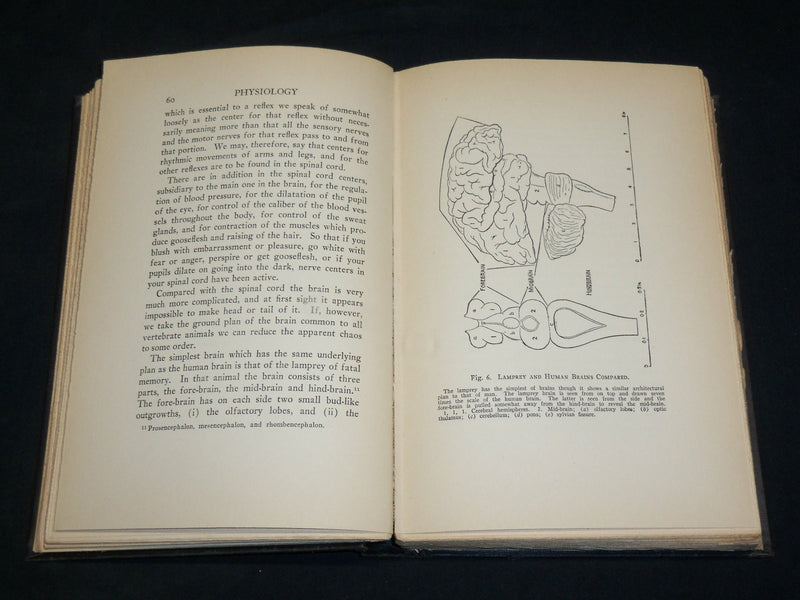 1928 PHYSIOLOGY HARDCOVER BOOK BY V. H. MOTTRAM - KD 2762D