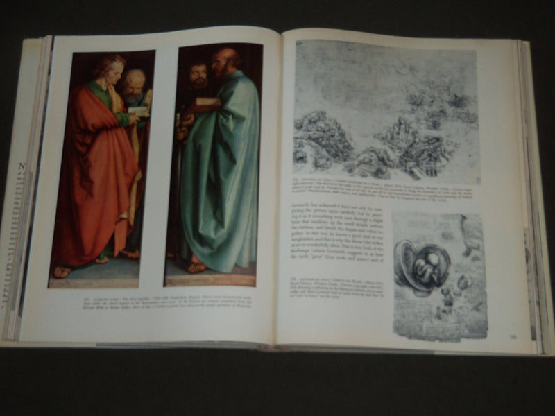 1957 THE PICTURE HISTORY OF PAINTING BY H. W. & DORA JANSON - 1ST EDN - I 384