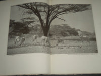 1930 OCTOBER AFRICAN GAME LANDS GRAPHIC MAGAZINE BY PRENTISS N. GRAY - J 2541