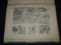 1870'S COLLECTION DE 120 DESSINS CROQUIS ET PEINTURES INGRES VOLUME 1 & 2- Z 166