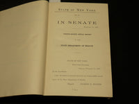 1907 NY STATE DEPARTMENT OF HEALTH 28TH ANNUAL REPORT VOLUME NO. 2 - KD 5894