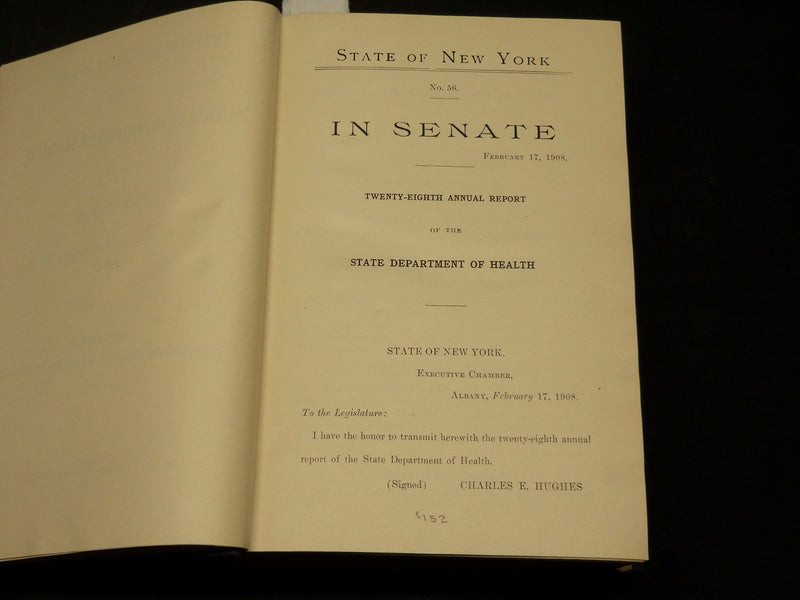1907 NY STATE DEPARTMENT OF HEALTH 28TH ANNUAL REPORT VOLUME NO. 2 - KD 5894