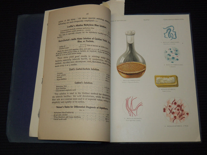 1901 SYLLABUS OF BACTERIOLOGY DESIGNED TO AID PHYSICIAN - 5 PLATES - J 7953