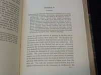 1900 RENAISSANCE IN ITALY BOOK BY JOHN ADDINGTON SYMONDS - KD 7660