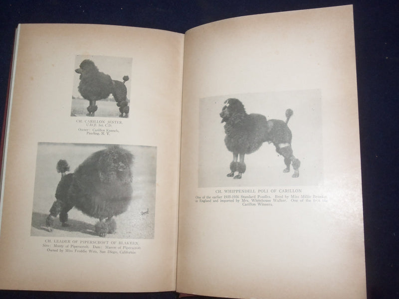 1951 THE COMPLETE POODLE HARDCOVER BOOK BY LYDIA HOPKINS - KD 9091