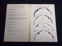 1962 HAVILAND CHINA TWO HUNDRED PATTERNS BOOK III BY ARLENE SCHLEIGER - J 9251