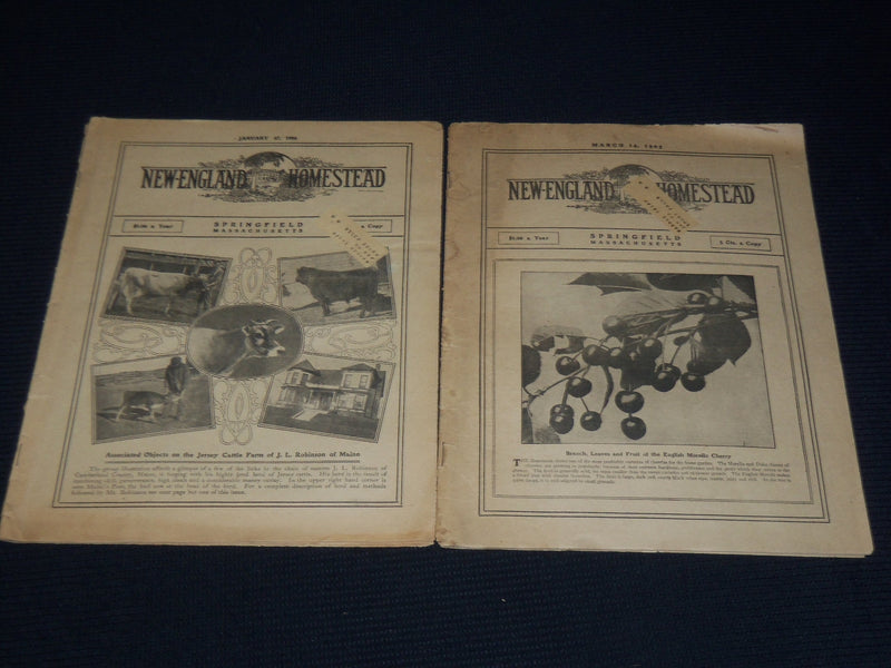 1903-1906 NEW ENGLAND HOMESTEAD NEWSPAPER LOT OF 3 - SPRINGFIELD MASS - NP 3878B