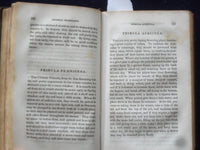 1845 THE AMERICAN FLORIST HARDCOVER BOOK BY JAMES NORMAN ELEY - KD 8746