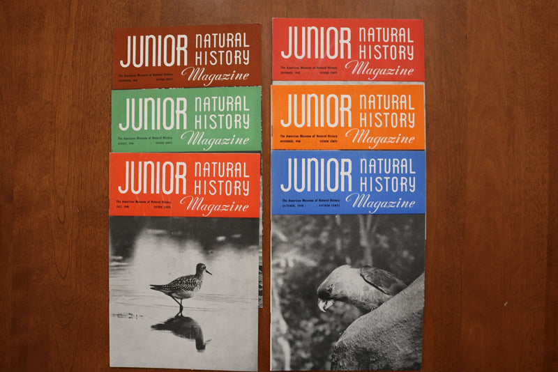 1946-1949 JUNIOR NATURAL HISTORY MAGAZINE - LOT OF 36 - O 3926