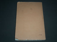 1933 LIVRE BRUN SUR REICHSTAG ET HITLERIENNE FRENCH BOOK - GIAFFERI - J 2318