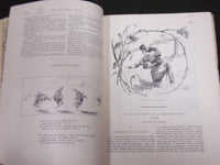 1883 ST. NICHOLAS MONTHLY MAGAZINE LOT OF 8 ISSUES - NICE ILLUS. & ADS - WR 1082