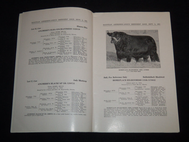 1951 EGYPTIAN ANGUS CATTLE SALE CATALOG - DUQUOIN, ILLINOIS - J 9084