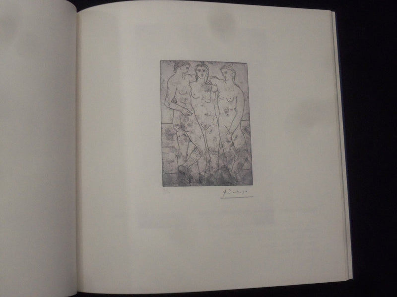 2001 PICASSO FROM MALAGA SOFTCOVER BOOK - ENGLISH & SPANISH TEXT - KD 8704