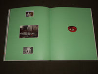 1988 DAVID SALLE FUNDACION CAJA DE PENSIONES BOOK - SPANISH - D 211
