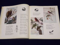 1924 THE BIRD FOOT-RACE IN FOLLIES BY ROBERT SAMIS BOOK - NICE ILLUS. - KD 1495
