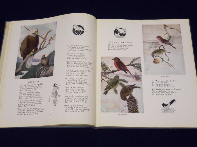 1924 THE BIRD FOOT-RACE IN FOLLIES BY ROBERT SAMIS BOOK - NICE ILLUS. - KD 1495