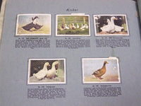 1930'S RICH'S SERIE DANSKE HUSDYR ANIMAL TOBACCO CARDS ALBUM - DANISH - KD 3183