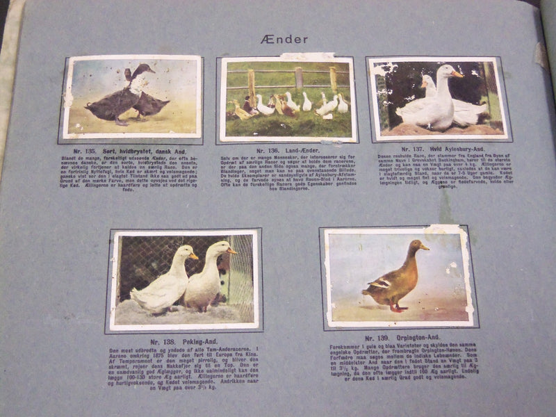 1930'S RICH'S SERIE DANSKE HUSDYR ANIMAL TOBACCO CARDS ALBUM - DANISH - KD 3183