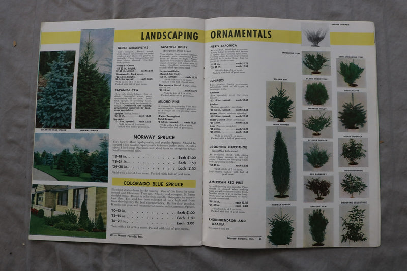 1959 MUSSER FOREST INC. CATALOG - INDIANA, PENNSYLVANIA - SOFTCOVER - K 3462