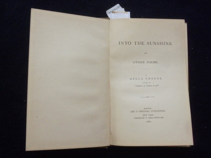 1882 INTO THE SUNSHINE AND OTHER POEMS HARDCOVER BOOK BY AELLA GREENE - KD 8476