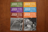 1946-1949 JUNIOR NATURAL HISTORY MAGAZINE - LOT OF 36 - O 3926