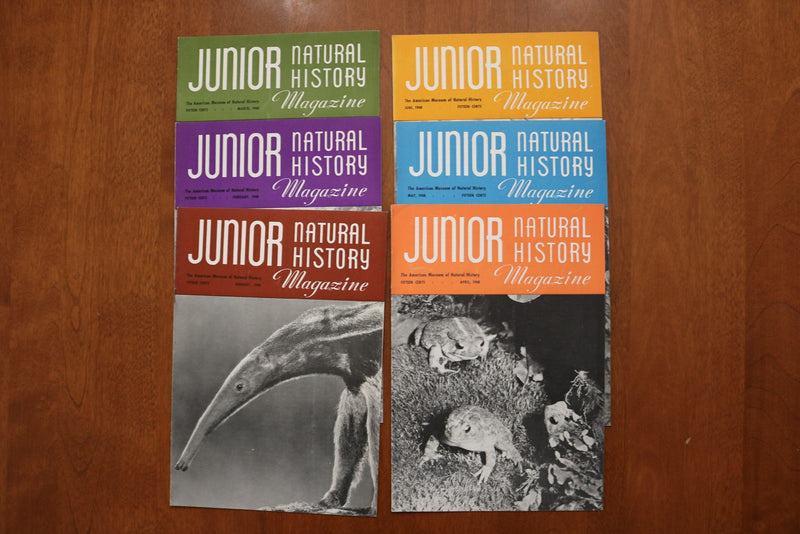1946-1949 JUNIOR NATURAL HISTORY MAGAZINE - LOT OF 36 - O 3926