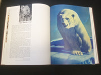 1982 WILDLIFE ARTISTS AT WORK HARDCOVER BOOK BY PATRICIA VAN GELDER - R 735K