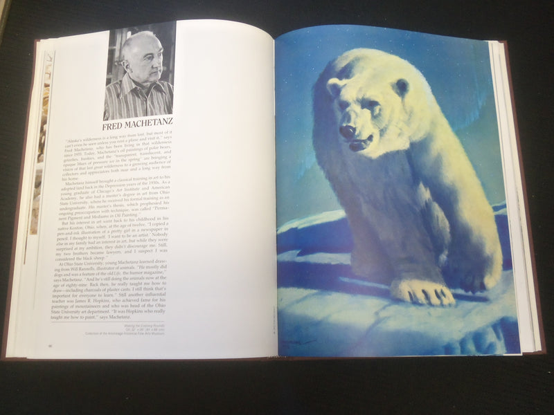 1982 WILDLIFE ARTISTS AT WORK HARDCOVER BOOK BY PATRICIA VAN GELDER - R 735K