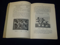 1800'S-1947 GERMAN TABAK PERIODICALS LOT OF 4 DIFFERENT - SOFTCOVER - O 3086L