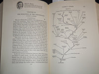 1926 THE NATURE OF THE WORLD AND OF MAN - UNIVERSITY OF CHICAGO - KD 5980D