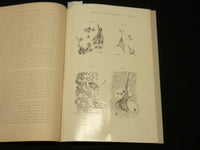 1905-1907 THE JOURNAL OF MENTAL PATHOLOGY MAGAZINE LOT OF 7 - WR 572K