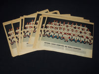 1964 ST. LOUIS CARDINALS COLOROTO MAGAZINE TEAM PHOTO - 33 PIECES - NP 9192