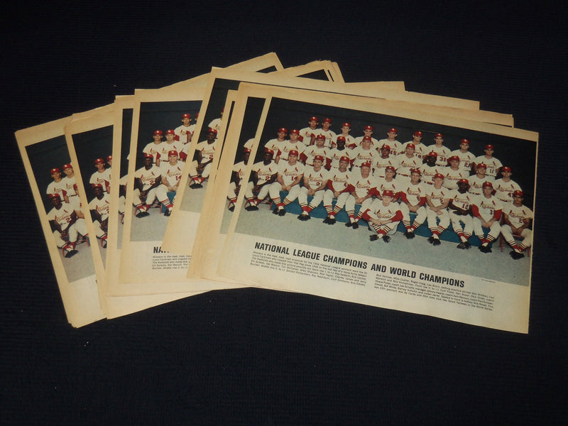 1964 ST. LOUIS CARDINALS COLOROTO MAGAZINE TEAM PHOTO - 33 PIECES - NP 9192