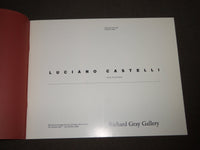 1990 LUCIANO CASTELLI NEW PAINTINGS RICHARD GRAY GALLERY CATALOG - KD 5059