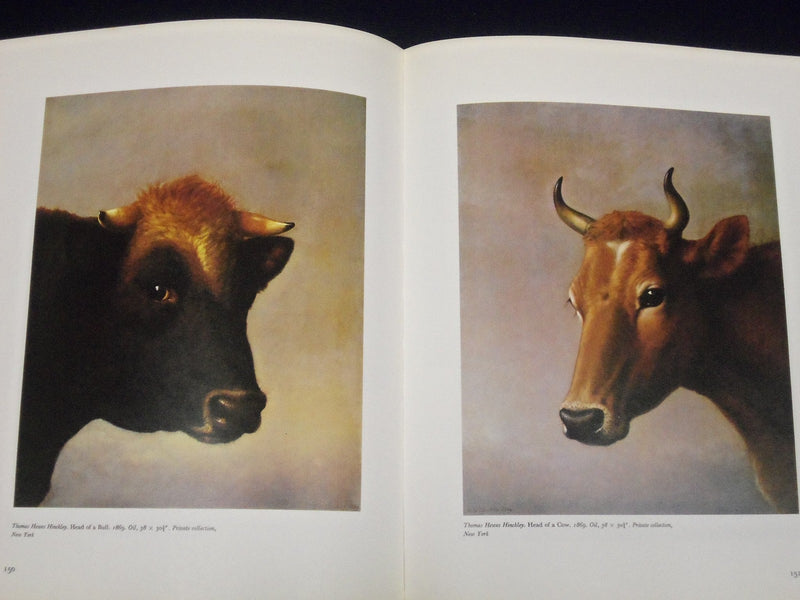1979 AN AMERICAN BESTIARY BOOK BY MAERY HAVERSTOCK - GREAT ILLUS. - KD 2985