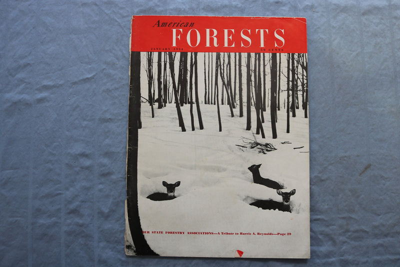 1954 JANUARY AMERICAN FOREST MAGAZINE - SP 4923X