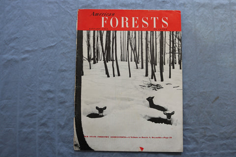 1954 JANUARY AMERICAN FOREST MAGAZINE - SP 4923X