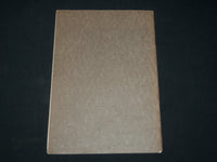 1910 FORTY OF BOSTON 'S IMMORTALS SOFTCOVER BOOK - J 6570