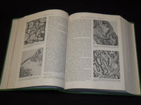1982-1988 CANCER JOURNAL MAGAZINE BOUND VOLUMES LOT OF 6 - KD 1I