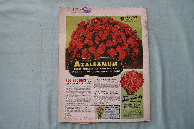1948 JAN BETTER HOMES AND GARDENS MAGAZINE - ILLUSTRATED HOMES COVER - E 26552