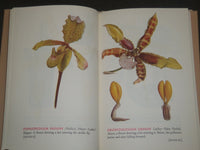 1940 GLASS FLOWERS IN THE WARE COLLECTION BY FRITZ KREDEL BOOK - KD 669